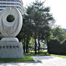 출토96 소나무 이미지