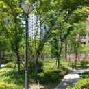 대림아파트 단지 내 이미지