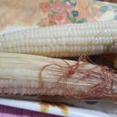 풍경농장 이미지