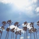 부분밖의 부분 이미지