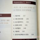 앨리스토리커피로스터스