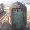 의령 세간리 현고수 Daum카페
