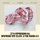 장기식육점 이미지