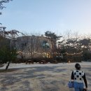 산애원