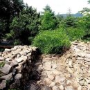 사이박천 이미지