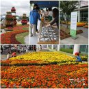 2014 대구꽃박람회 1일차 생생후기:)