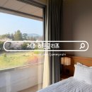 히든짐 | 히든클리프 제주 디럭스 트윈 가든룸 인피니티풀 수영장 호텔 조식 후기