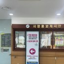 상록구청.상록수보건 | 안산시 상록수보건소 임산부 등록 준비물&amp;절차