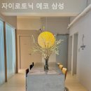 자이로토닉에코 네이버블로그