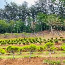 정식목장 이미지