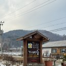 쌍둥이네 애견 이미지