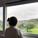 새골민박 | 경북 경주 가성비 펜션 헤이미쉬