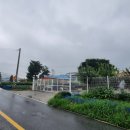 신사리 선돌 이미지