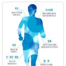 미네랄쌀 이미지