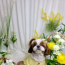 바우미우동물병원 이미지