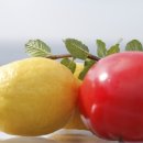 미예담산부인과의원 이미지