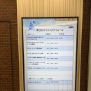 칸 | 시모노세키 카이쿄칸 후기 층별 관람부터 돌고래쇼까지 완벽 정리 그리고 마린월드 비교