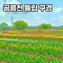 소망순대국 | [파주/금촌] 공릉천 튤립 구경 , 금촌시장 떡볶이 먹방 후기와 주차 꿀팁 공유