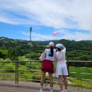 강원도 횡성 웰리힐리 cc에서 남편 생일 라운딩 후기