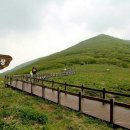 곰배령마루 이미지