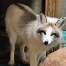 전주동물원 이미지