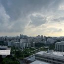 엄마사랑김밥 이미지