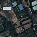 의귀리 김만일 묘역 이미지