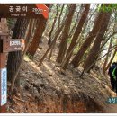 공곶이가는길 이미지