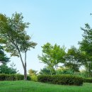 이화어린이공원 공원화장실 이미지