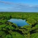 나무의노래 이미지