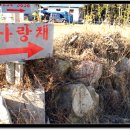 맛사랑채 이미지