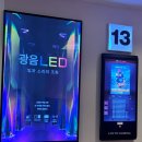 동양월드타워 | 아웃 오브 네스트 시사회 후기 2D 더빙 초청 롯데시네마 월드타워 스포有