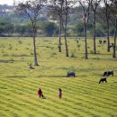 BI.A.BANG37 이미지