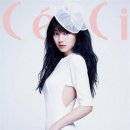 가즈아 Daum카페