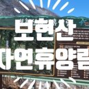 보현산자연휴양림 산 이미지