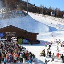 양지파인리조트 이미지