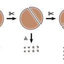 주식회사 비즈모아코리아 이미지