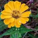 산속의정원 이미지