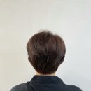 엘코너26