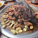 밤듸농원