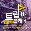 트립펫 이미지