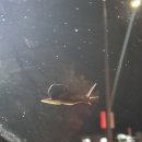 🐌 friend 이미지