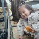 흙뿌리 농장 | 김포시 아프리카농장 설날 방문 후기｜큰딸과 리톱스·다육식물 구매 &amp; 현장 분갈이