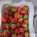 건양농장 이미지