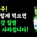 소주의 놀라운 효능 이런 분 꼭 술 드세요! 소주 먹으면 안 되는 경우도 알아두세요! / 초간단 술 레시피 / 술의 힘 이미지