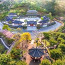 산청 동의보감촌 이미지