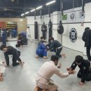 본주짓수평택안중 이미지