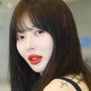 현아의 작업실 이미지