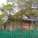 문학초등학교 이미지