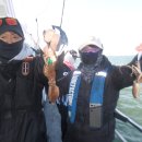 왕쭈꾸미 이미지